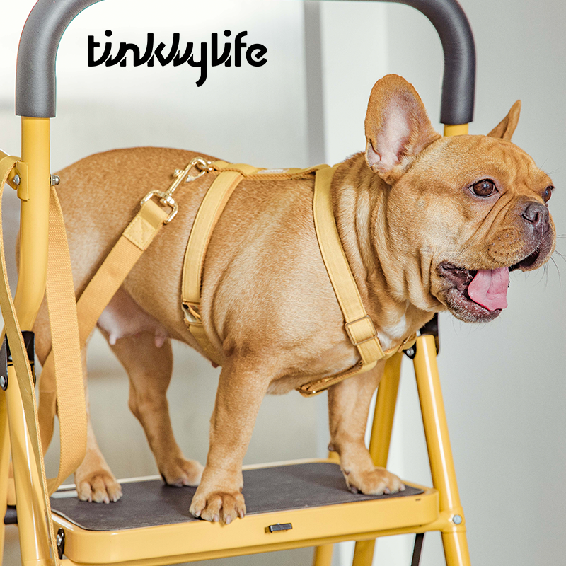 Tinklylife Dog MACARON Harness - Yellow
