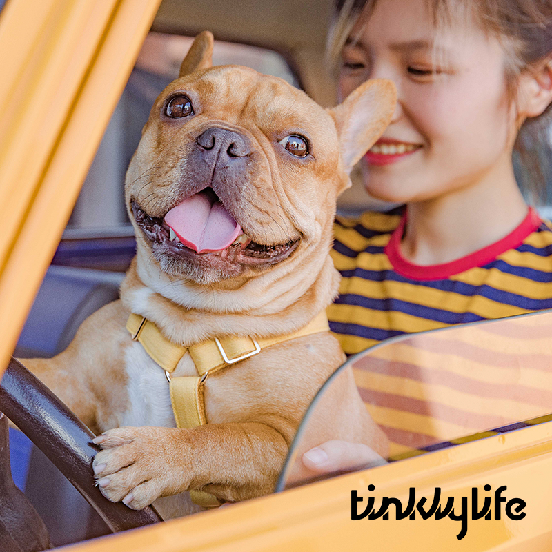 Tinklylife Dog MACARON Harness - Yellow
