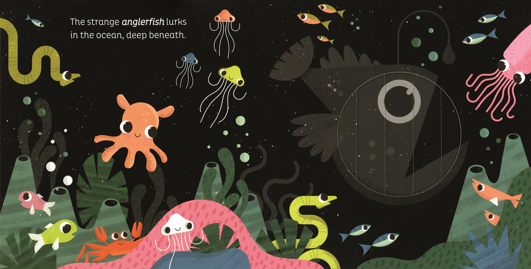 Usborne Animal Magic: in the Ocean