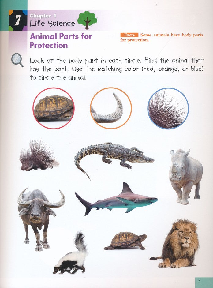 >KUMON Grade  PreK-K Science Sticker Activity Book Age 4-6