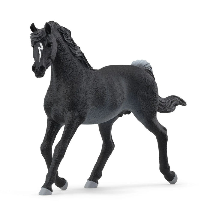 >Schleich HORSE CLUB - Rabicano Arab Stallion