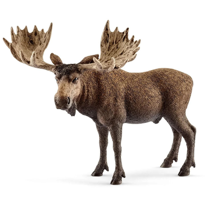 >Schleich WILD LIFE - Moose bull