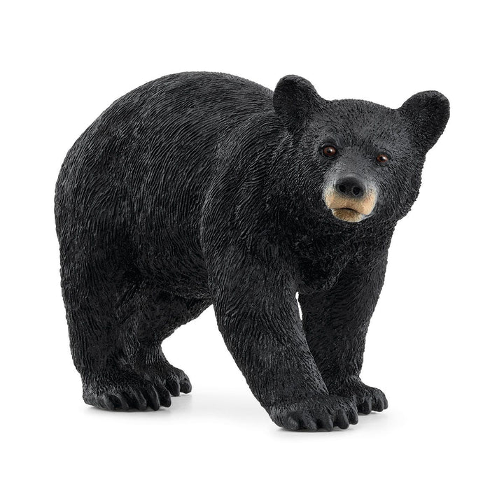 >Schleich WILD LIFE - American Black Bear