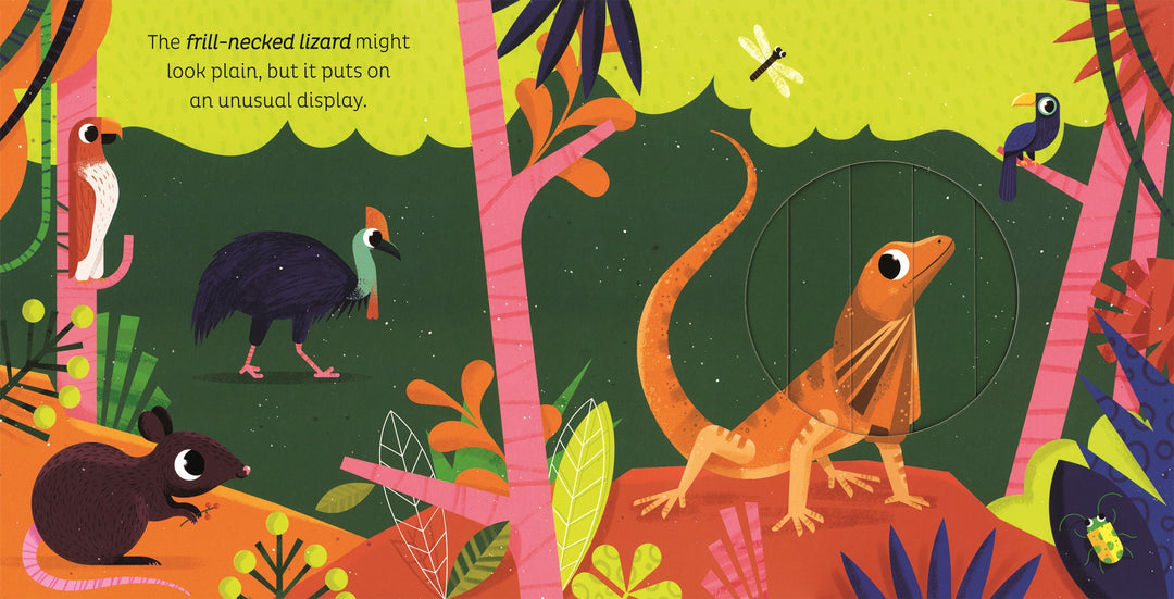 Usborne Animal Magic: in the Jungle