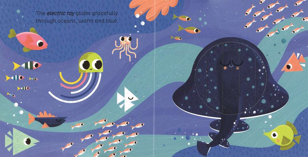 Usborne Animal Magic: in the Ocean