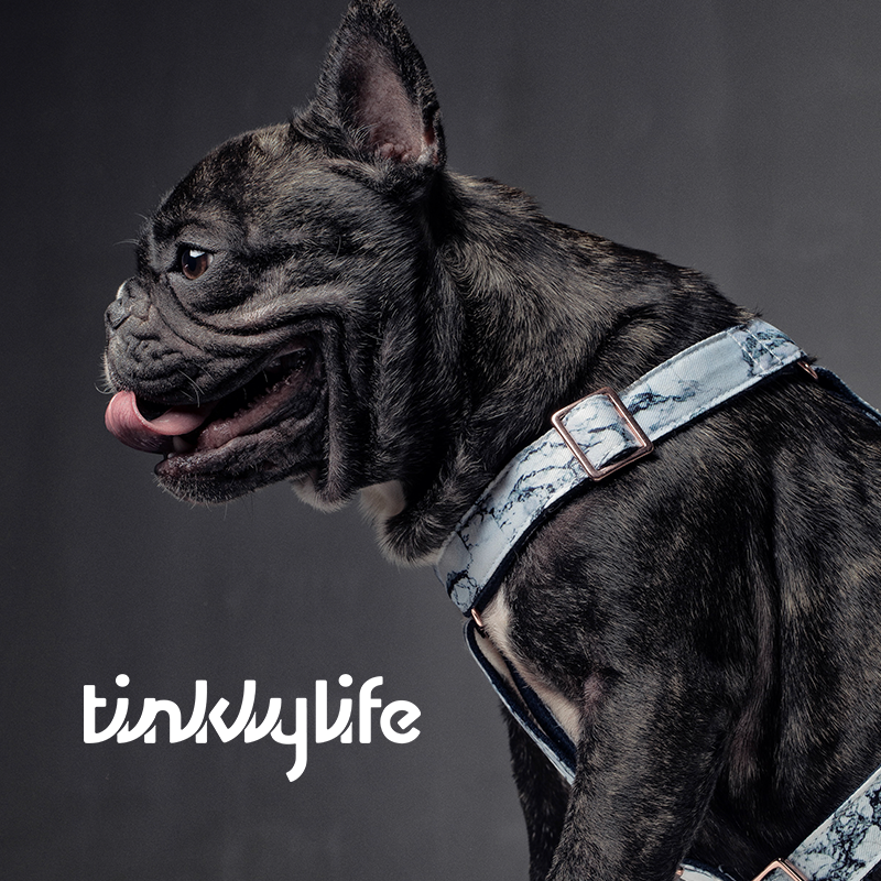 Tinklylife Dog Marble Harness