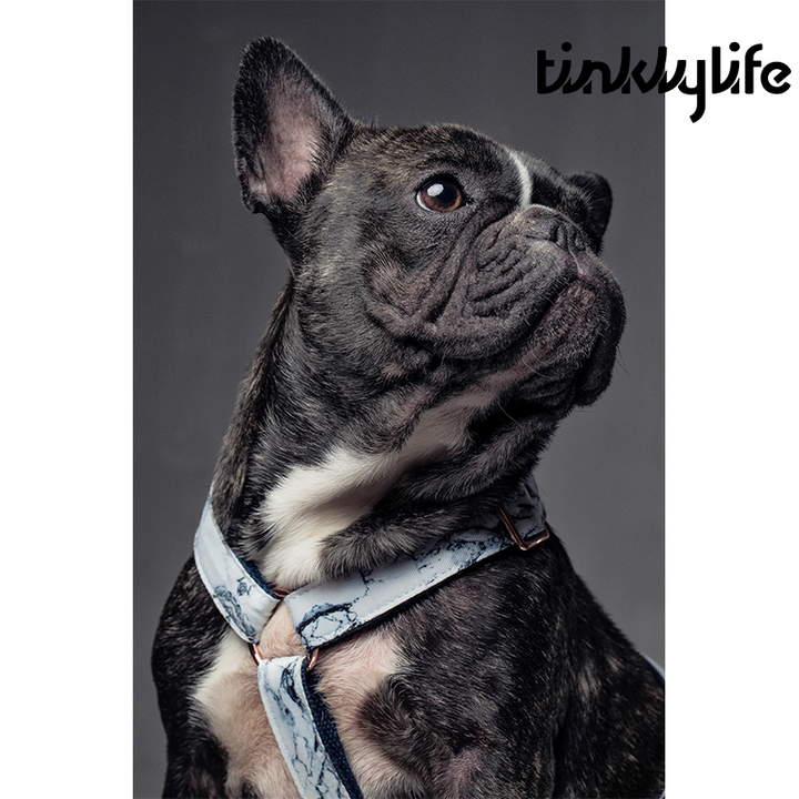 Tinklylife Dog Marble Harness