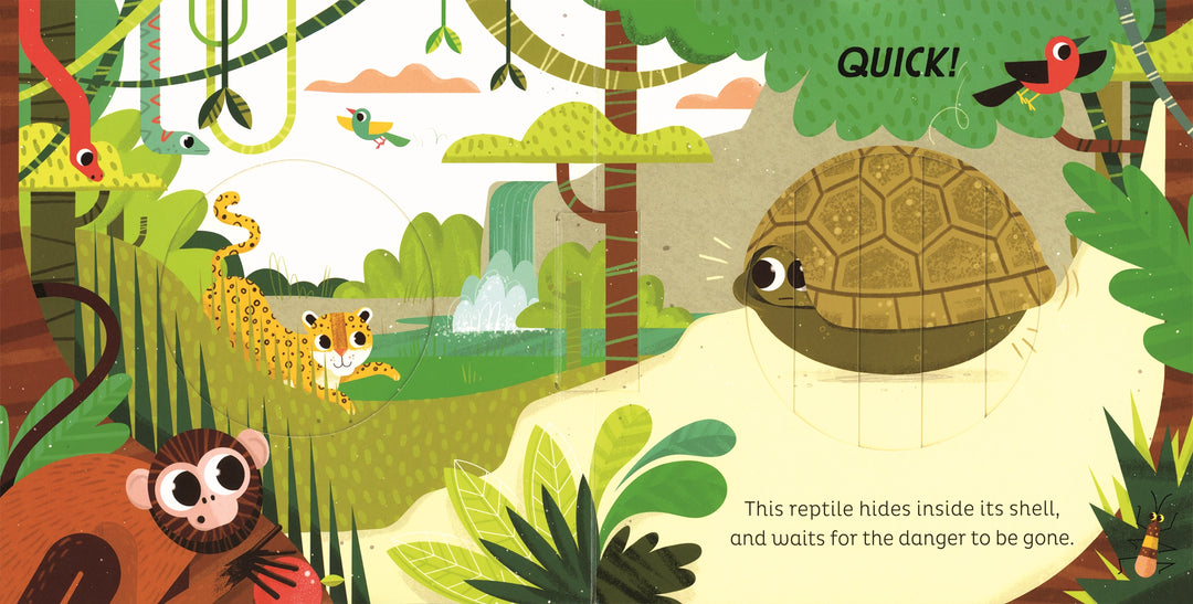 Usborne Animal Magic: in the Jungle