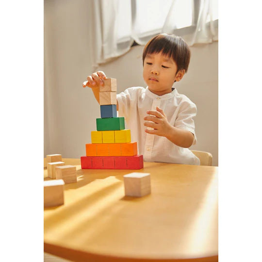 PlanToys Colored Counting Blocks - Unit Link