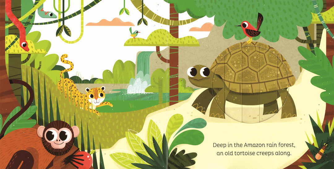 Usborne Animal Magic: in the Jungle