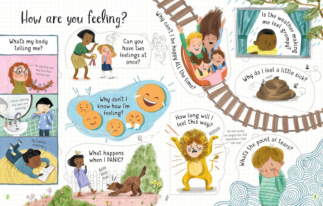 USBORNE Lift-the-Flap Questions and Answers About Feelings