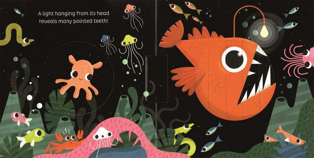 Usborne Animal Magic: in the Ocean