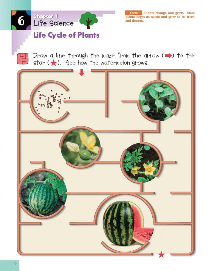 >KUMON Grade  PreK-1 Science Sticker Activity Book Age 4-6