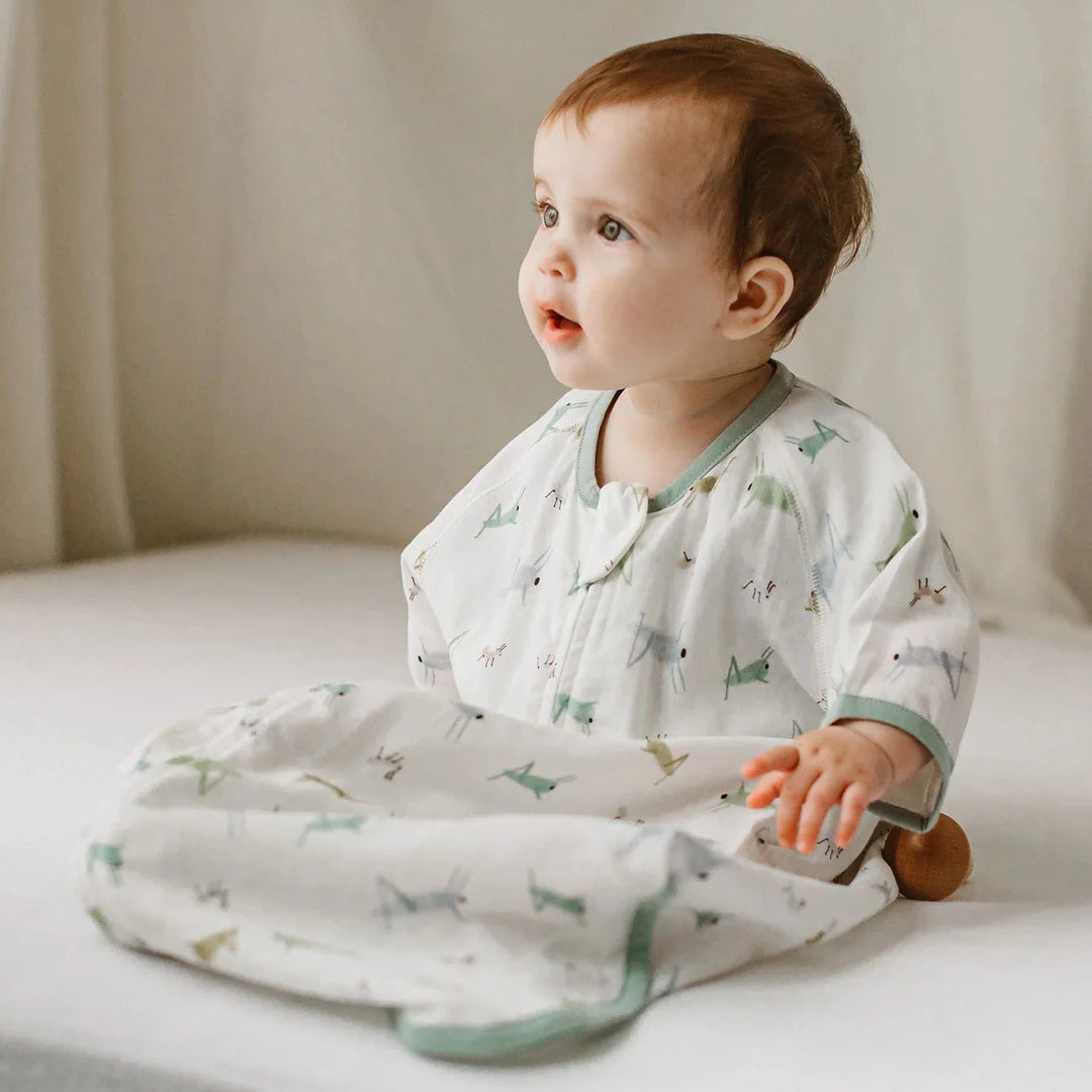 Nest Designs Kids/Baby 0.25 TOG Bamboo Silk Short Sleeve Sleep Bag - The Ant & The Grasshopper