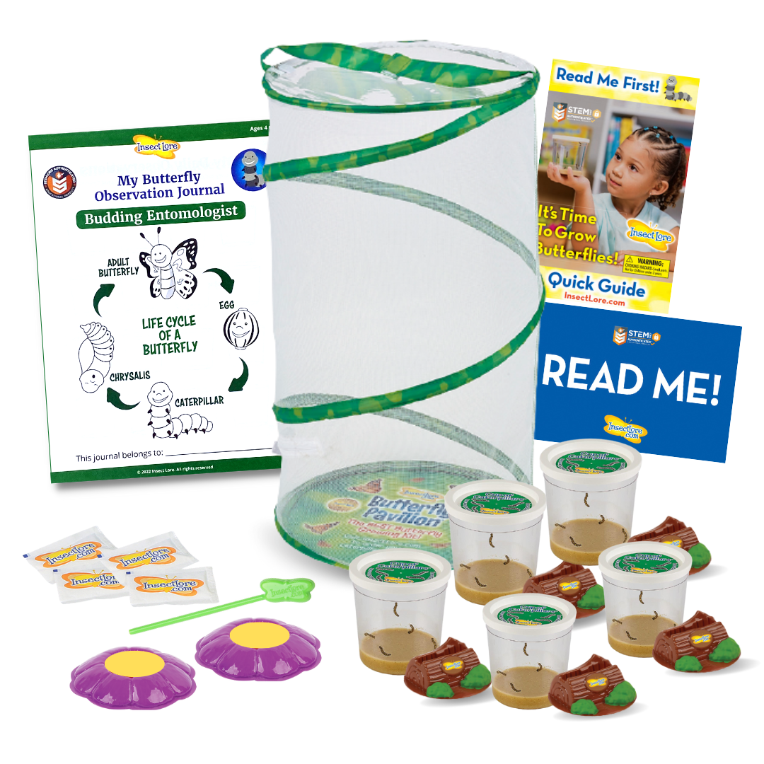 >Insect Lore Life Science & STEM Education – Butterfly Garden Easy 25 School Kit