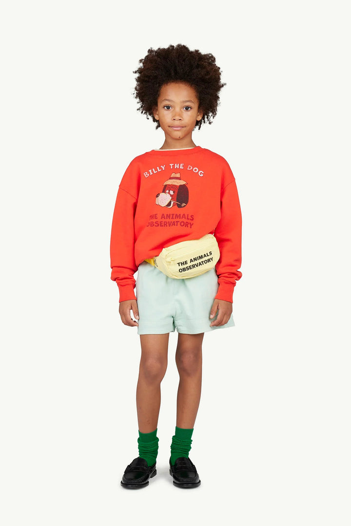 THE ANIMALS OBSERVATORY Kids Red "Billy the Dog" Sweatshirt