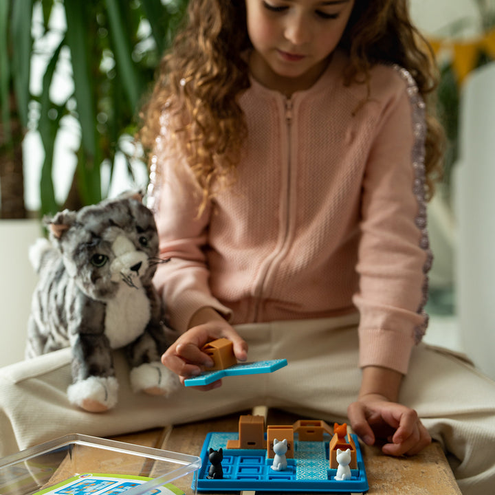 SMART Games Cats & Boxes (60 Challenges) Age 7+