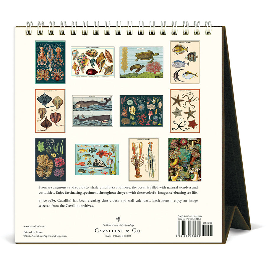 Cavallini Desk Calendar - Sea Life 6.5" x 6.5"