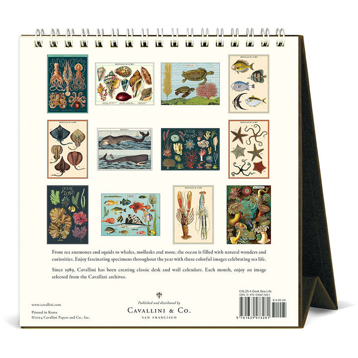 Cavallini Desk Calendar - Sea Life 6.5" x 6.5"