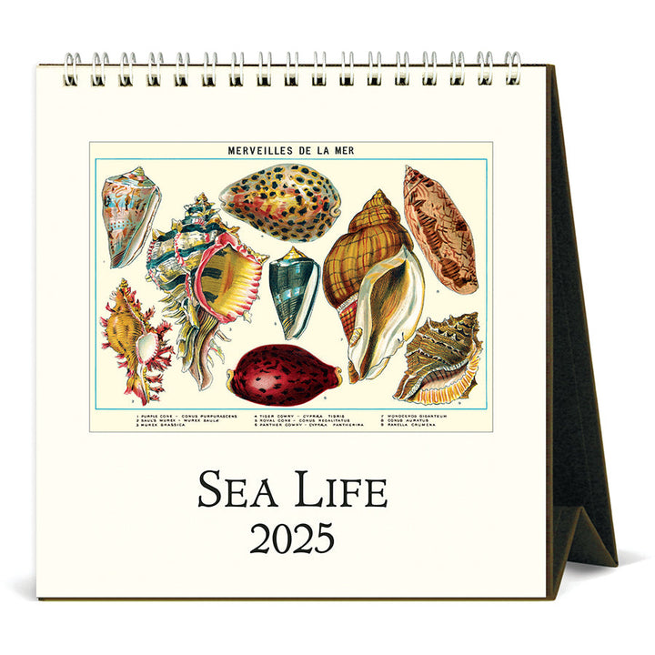 Cavallini Desk Calendar - Sea Life 6.5" x 6.5"