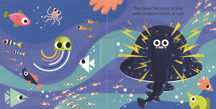 Usborne Animal Magic: in the Ocean