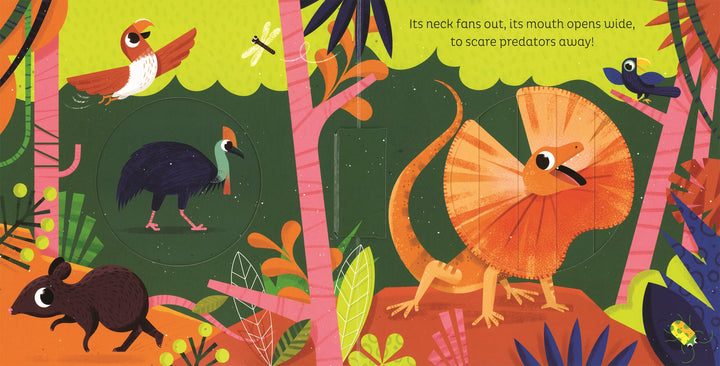 Usborne Animal Magic: in the Jungle