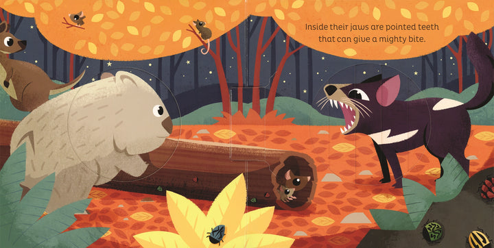 Usborne Animal Magic: in the Night