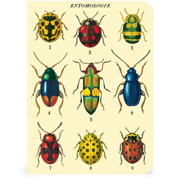 >Cavallini Mini Notebooks - Bugs & Insects - 96 pages 4" x 5.5" (10 cm x 14 cm)