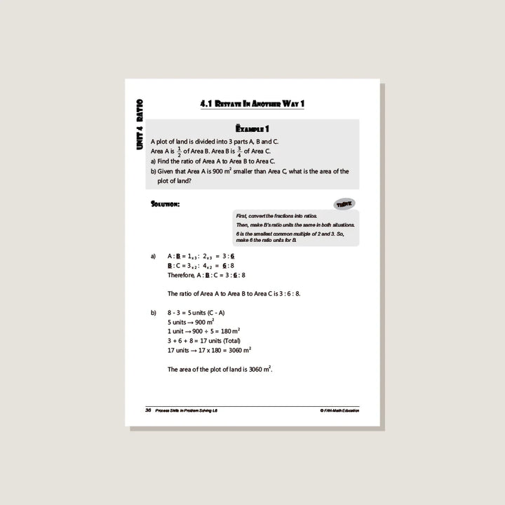 >Singapore Math Fan-Math Process Skills in Problem Solving Level / Grade 6