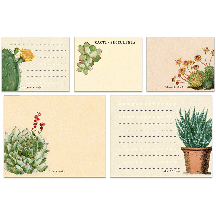 >Cavallini Sticky Notes - Cacti & Succulents