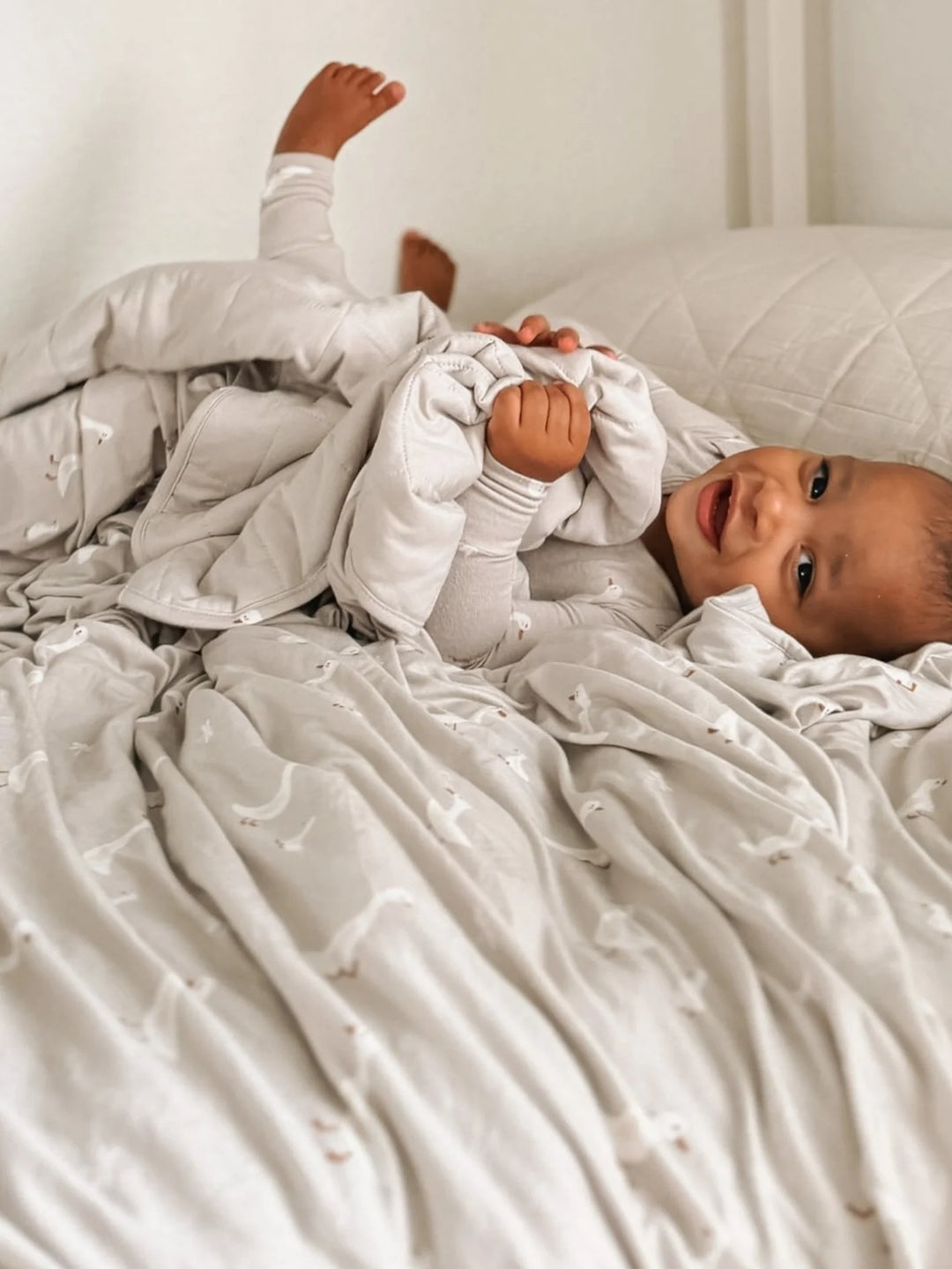 >Gunamuna Adult Twin 2.5 TOG Cloud Blanket [85" x 62"] - ﻿﻿﻿﻿Goose