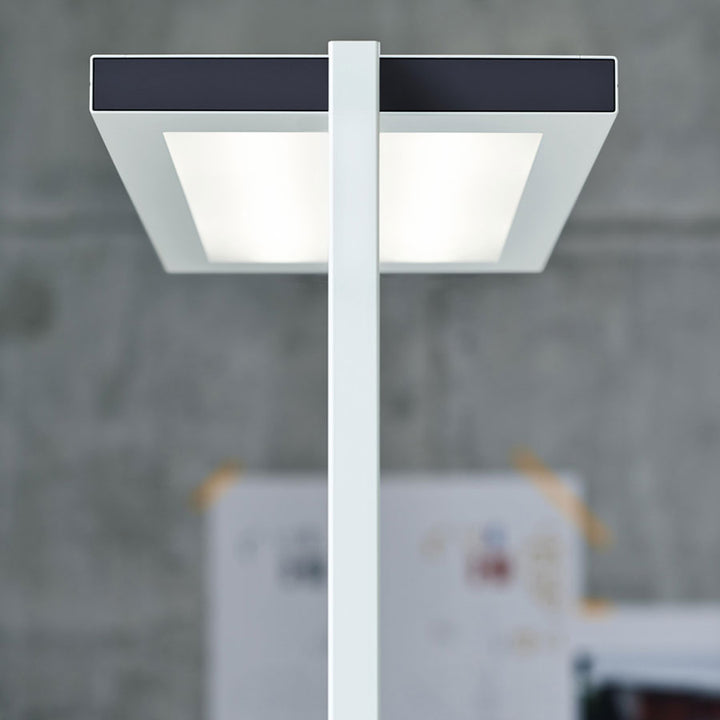Waldmann Lighting - Lavigo Direct / Indirect 81W 4000K LED Floor Lamp