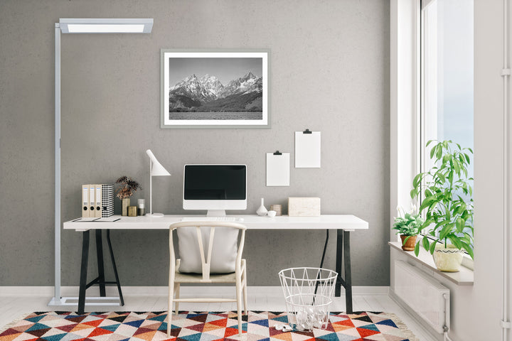 Waldmann Lighting - Lavigo Direct / Indirect 81W 4000K LED Floor Lamp