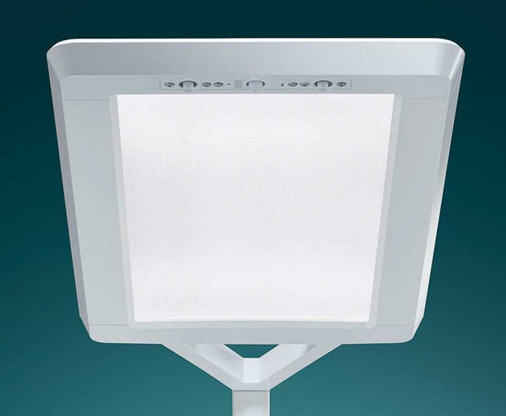 Waldmann Lighting - YARA.single Floor Lamp [2-color]