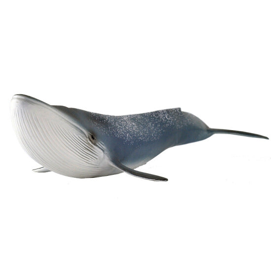 Schleich WILD LIFE - Blue whale