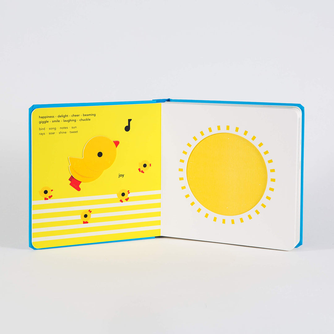 TouchThinkLearn: Felling Feelings Novelty Boardbook 2-4Y