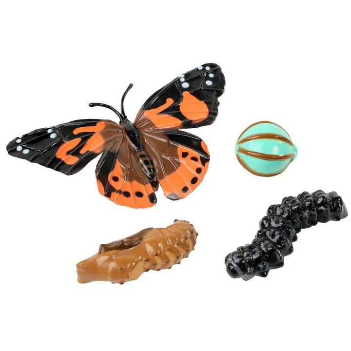 >Insect Lore Life Science & STEM Education – Butterfly Garden Easy 25 School Kit