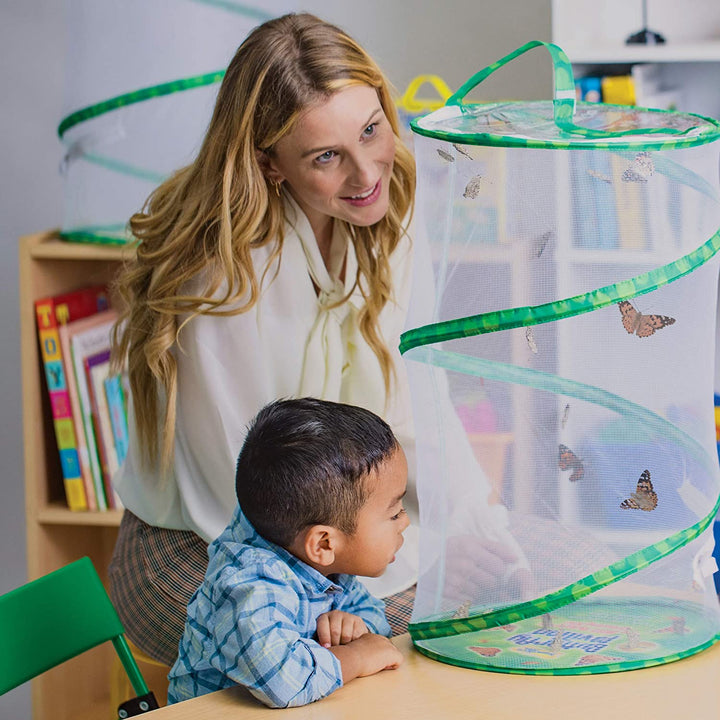 >Insect Lore Life Science & STEM Education – Butterfly Garden Easy 25 School Kit
