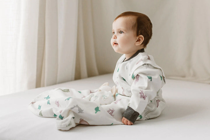 Nest Designs Kids 1.0 TOG Organic Cotton Long Sleeve Sleep Suit - The Tortoise & The Hare