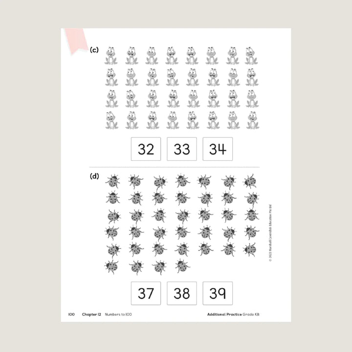 >Singapore Math Primary Mathematics Additional Practice  KB