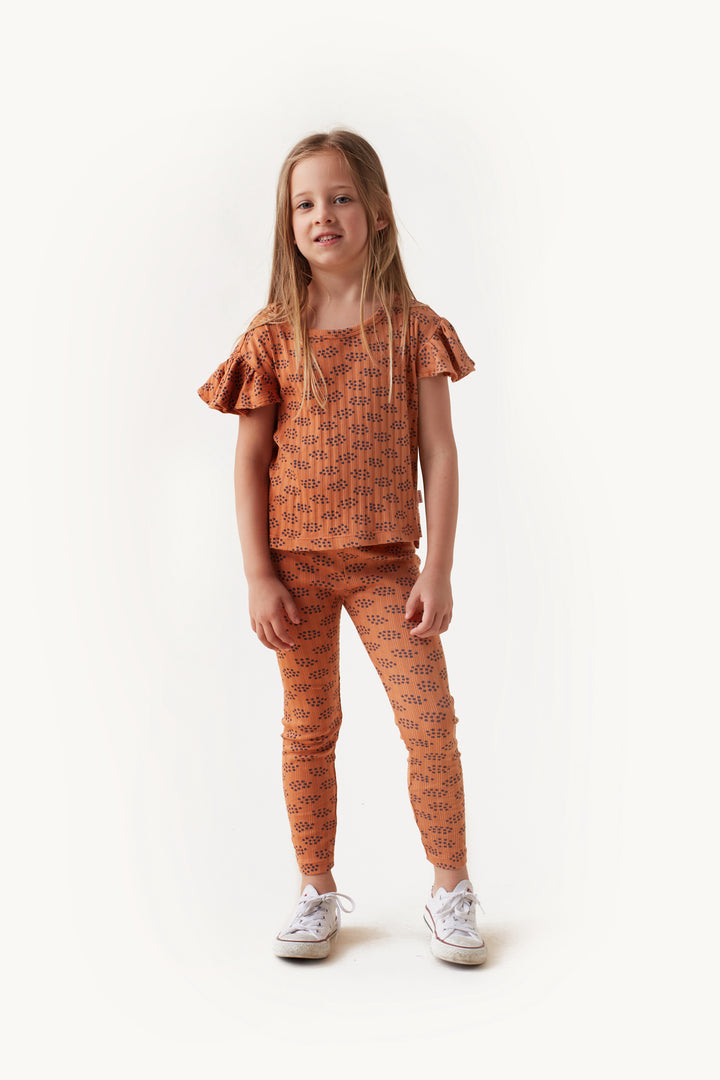 TINYCOTTONS Kids FORGET ME NOT CROP TEE in Light brown/ultramarine 055