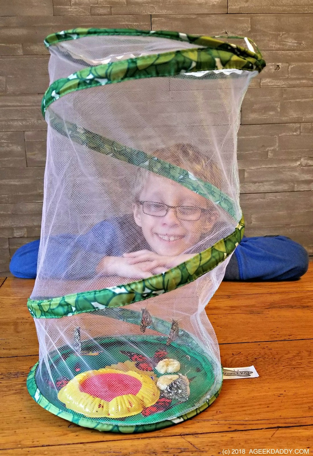 >Insect Lore Life Science & STEM Education – Butterfly Garden Easy 25 School Kit