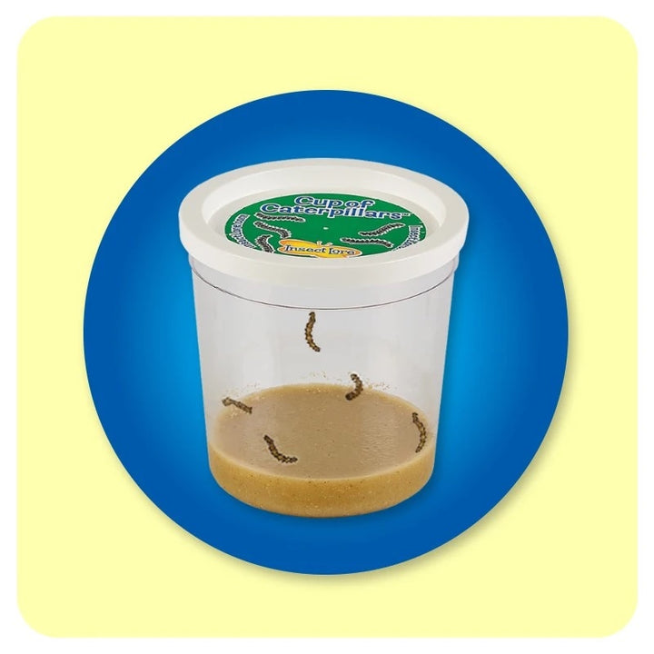 >Insect Lore Life Science & STEM Education – Butterfly Garden Easy 25 School Kit